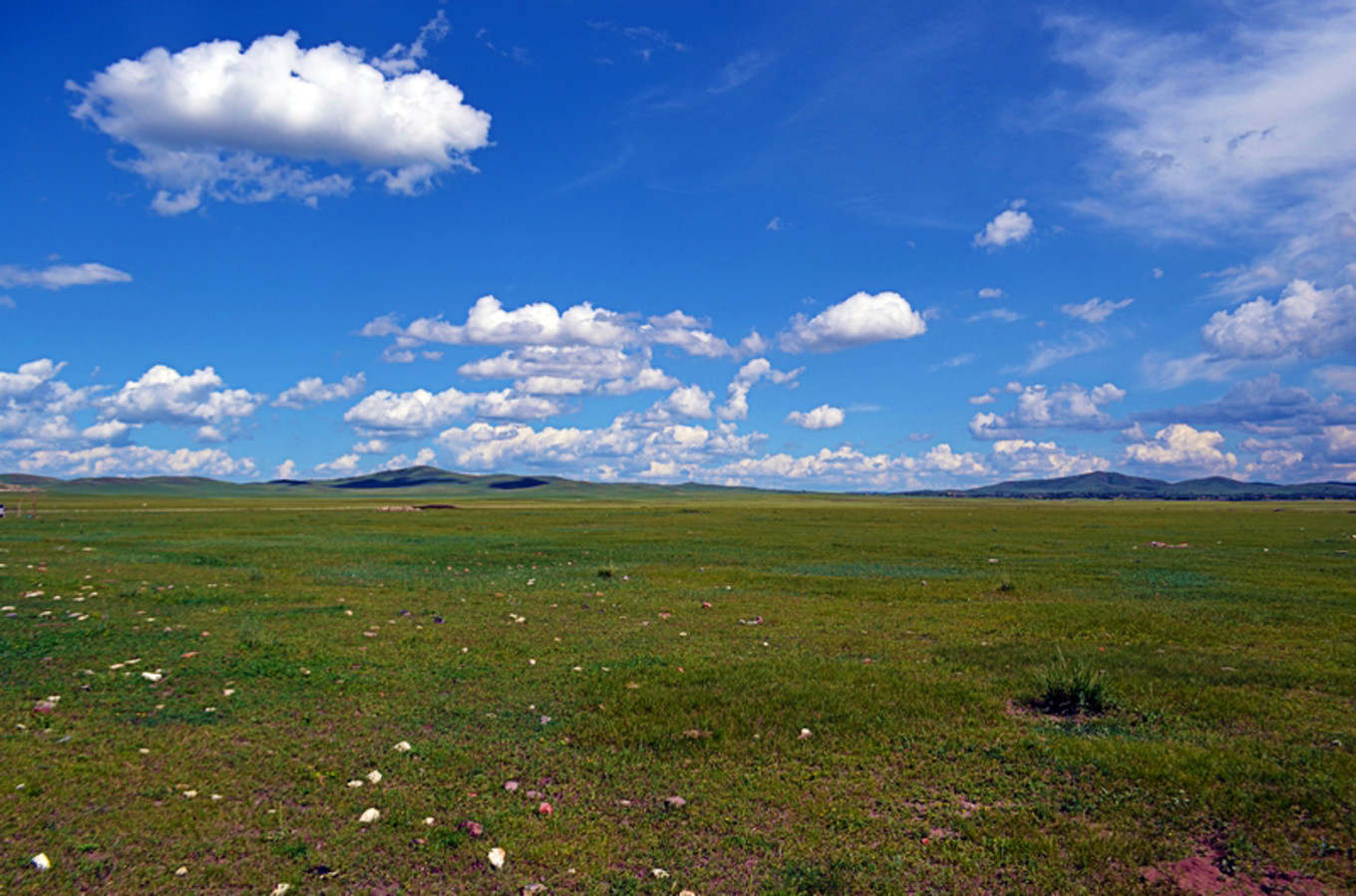 乌珠穆沁草原狼图腾,狼图腾草原魂歌曲
