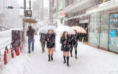 日本零下30多度的女生,日本妹子真的不怕冷吗
