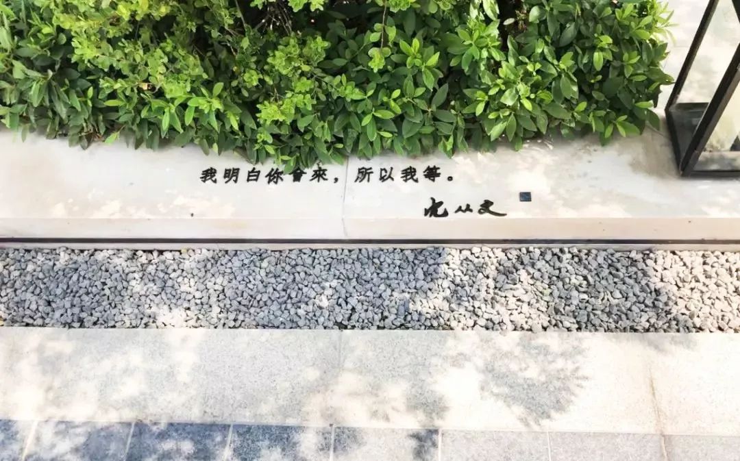 文字带来的魅力,奇特文字符号