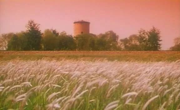 导演界有比张艺谋地位还高的吗,比张艺谋更老牌的导演有谁