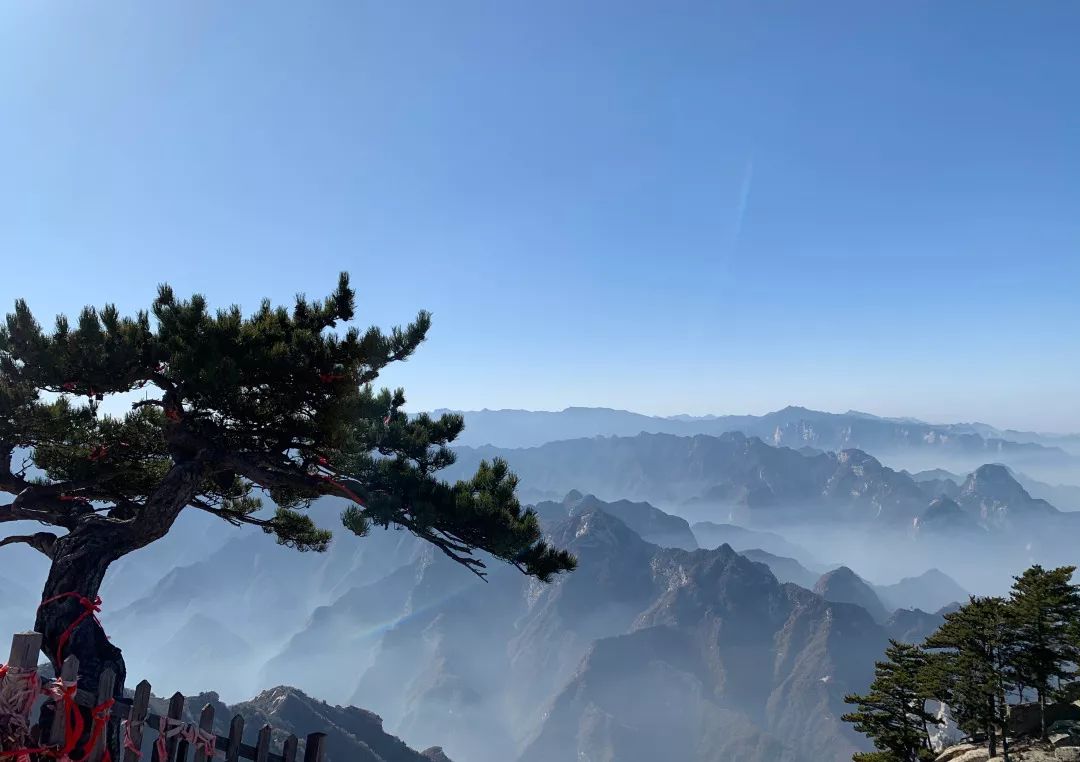 华山雪后景色美爆了,华山雪景真是太美了超级震撼
