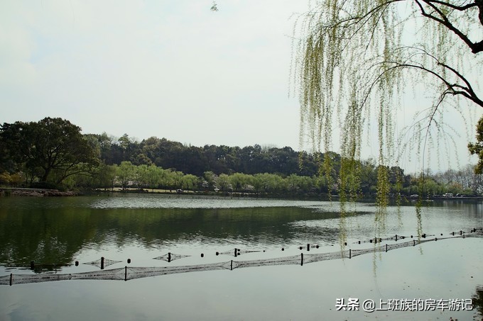周末微旅行：秦望山麓访名校，白沙堤岸醉桃柳（第二季）