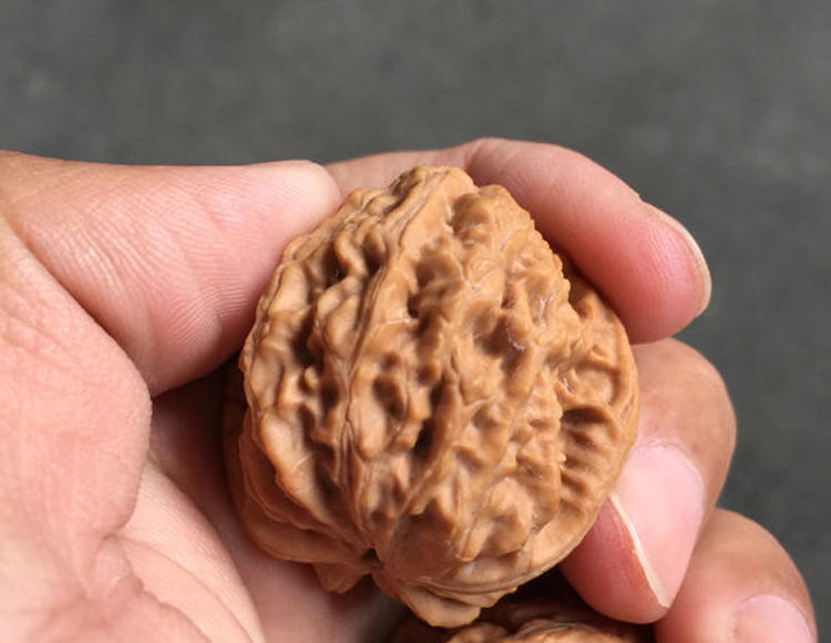 特别尖的核桃是什么品种,修尖又修底的核桃