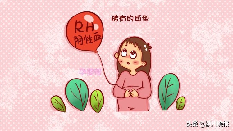 rh阴性熊猫血可以生孩子吗,熊猫血第一胎是o型血还能生吗