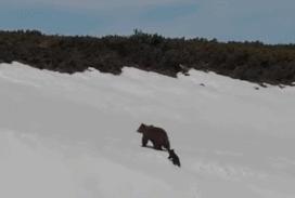 被囚34年取精，被迫亲手杀死爱子，最后只能挣扎着死去……