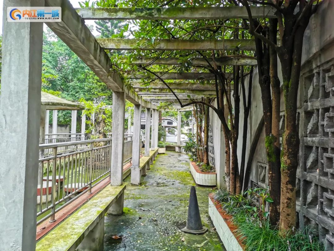 如果你是金牛座,如果你是金牛座还能改变吗