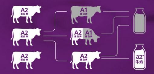 a2奶粉排名第一名,a2奶粉旗舰店