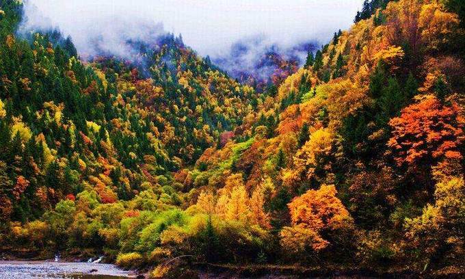 成都出发，金秋10月出游攻略，秋景美如画之米亚罗红叶风景区