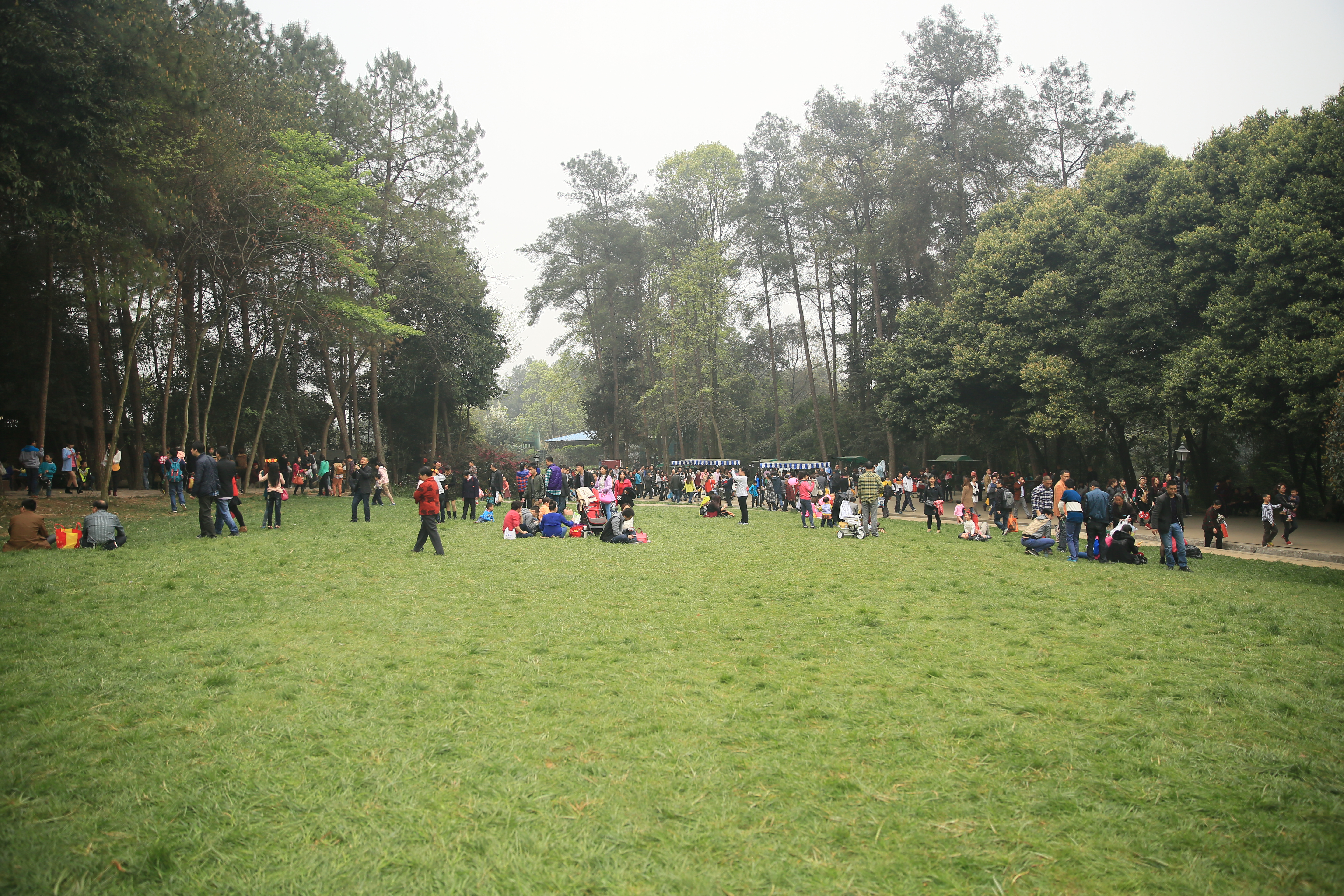 钂叉睙鐭宠薄婀栧ソ鐜╀笉,钂叉睙鐭宠薄婀栧ソ鑰嶅悧