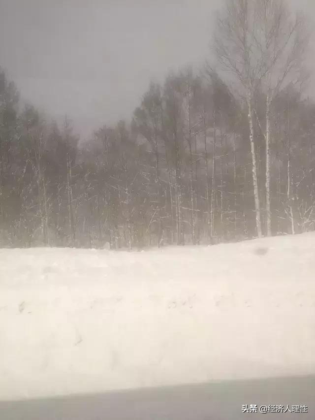 一位旅日游客，4天时间，万字长文，记录思考日本社会的崛起背后