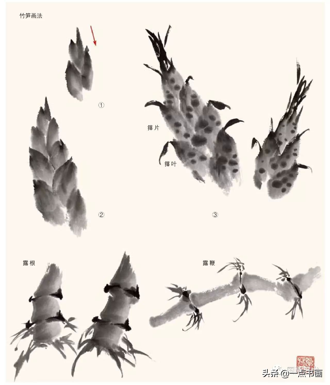 梅花画法教程,竹子画法教程