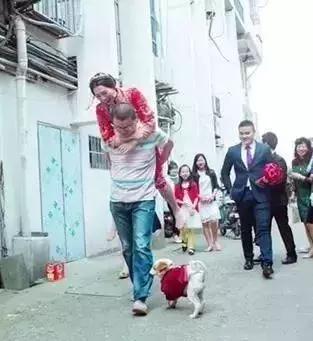 因舍不得主人出嫁，它选择这样做，“不管你去哪，带上我一起！”