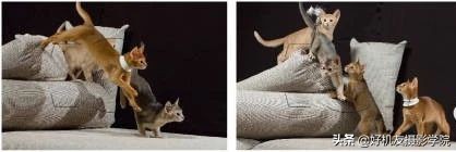 尼康相机如何分别对焦和测光,佳能相机全画幅新手教程