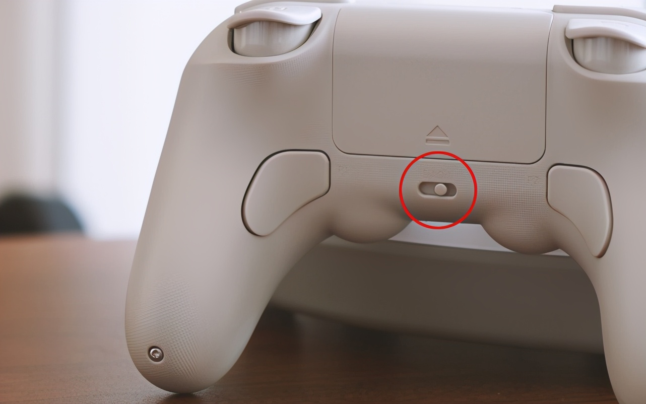 八位堂pro2手柄支持体感吗,八位堂pro2蓝牙游戏手柄