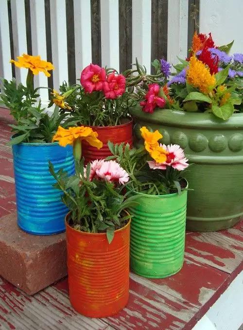 家里花瓶插花放点什么,创意养花花瓶