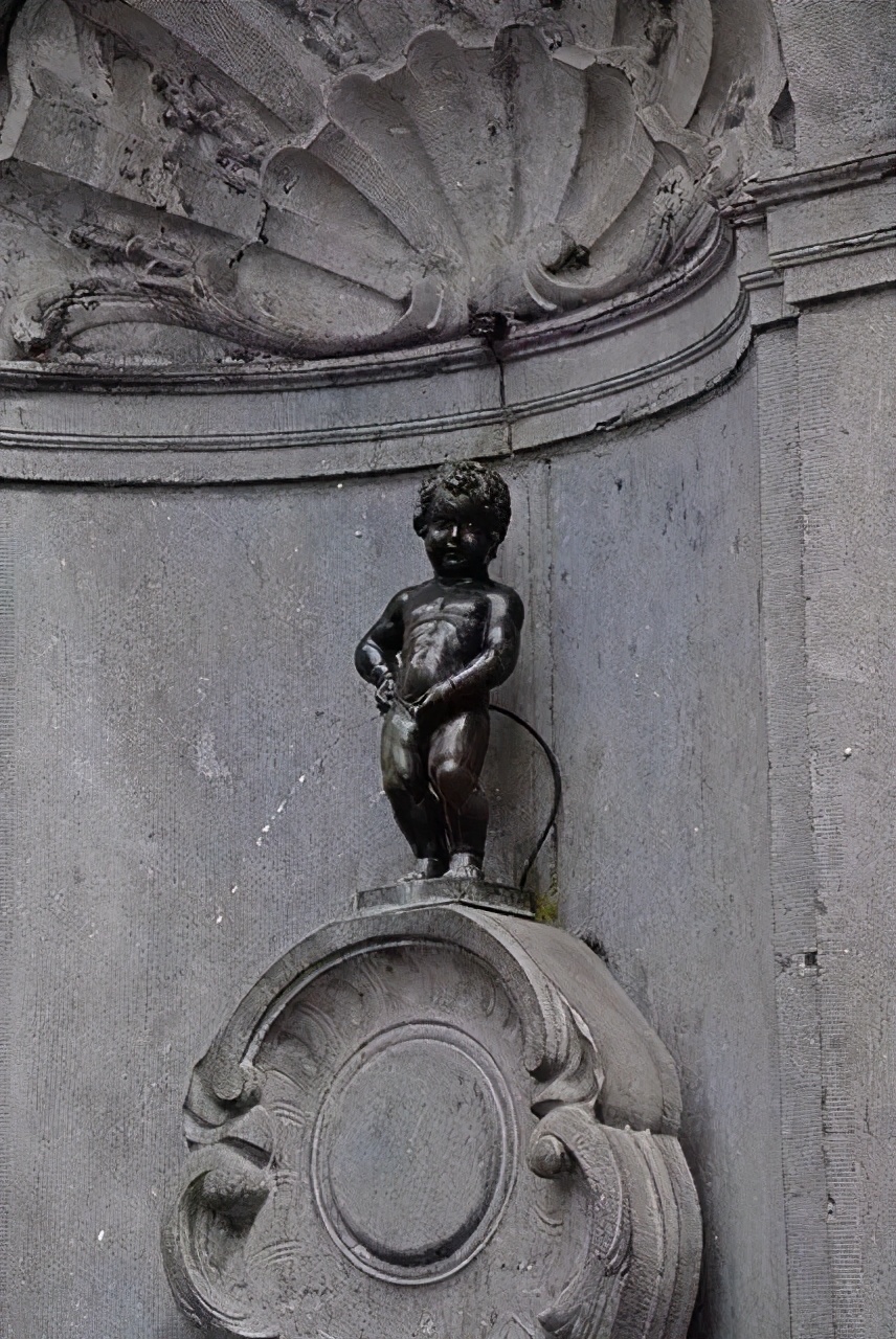 杨红樱宇宙是我的早恋圣经