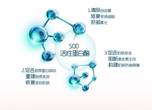 sod有那么好吗,SOD是什么产品
