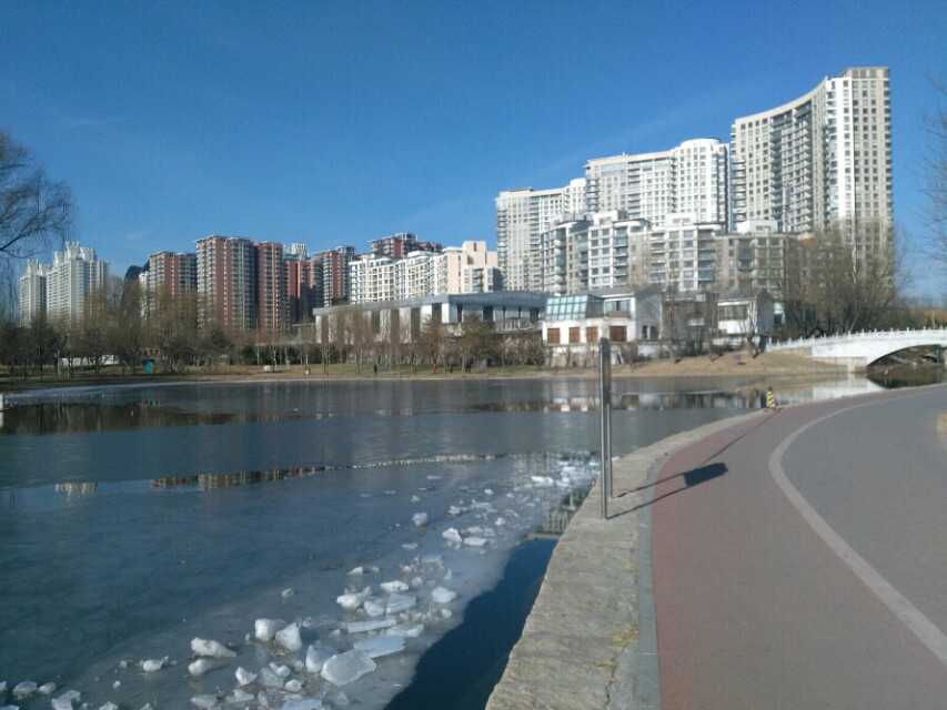 畸形的爱,畸形的爱情电影