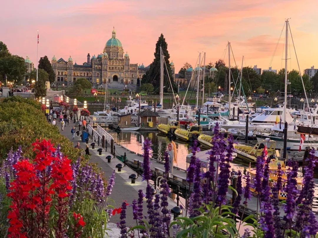 冬季世界冠军,世界冠军的辛酸