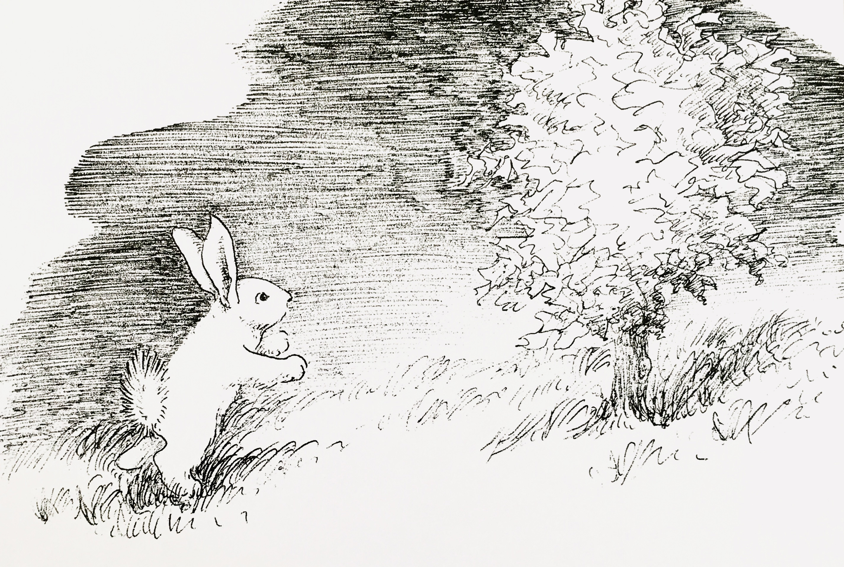 17张一只铅笔就搞定的黑白插画，画风简单，100年来却让人着迷