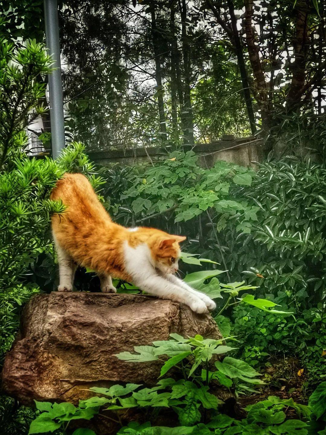 一句话让别人觉得你过得很好,让别人觉得你的好才是春风