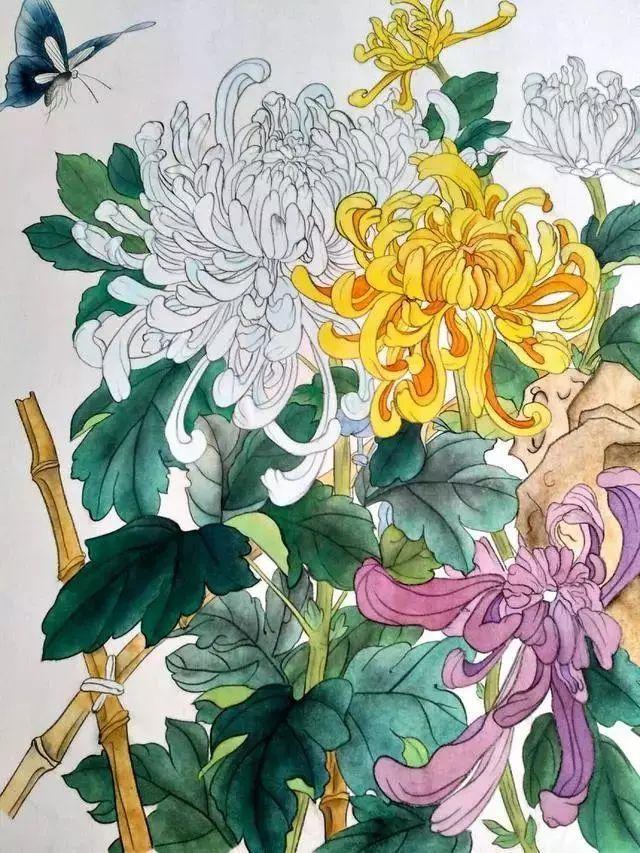 国画菊花教程工笔,工笔国画教程菊花蓝蝶