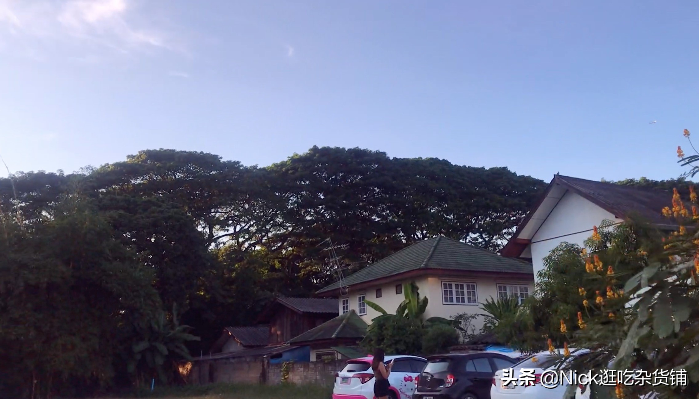 泰国最便宜的餐厅，就连前总理英拉都去打卡过