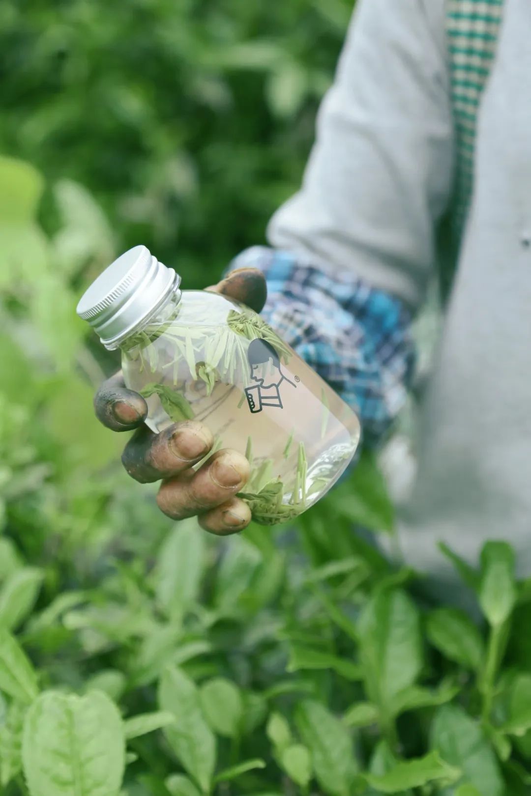 喜茶最新款饮品,喜茶奶茶店出的新品