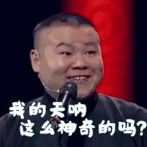 怎么才能知道猫咪的智商,你家猫爱看电视吗