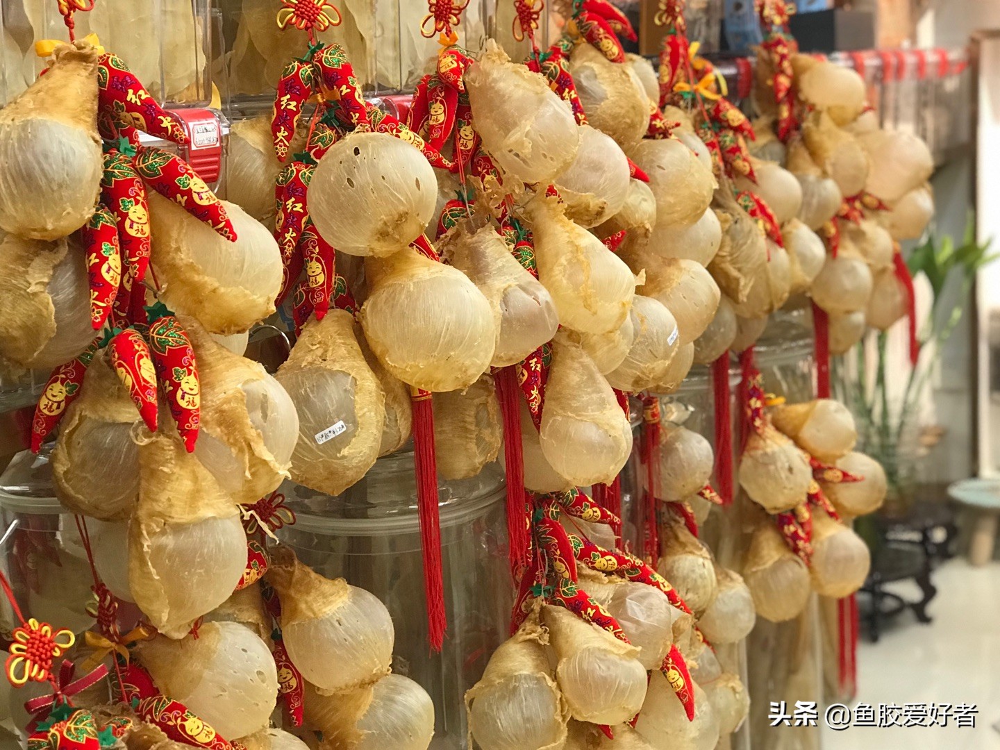 鱼胶正确的泡发方法和做法,顺德鲮鱼鱼胶的做法视频