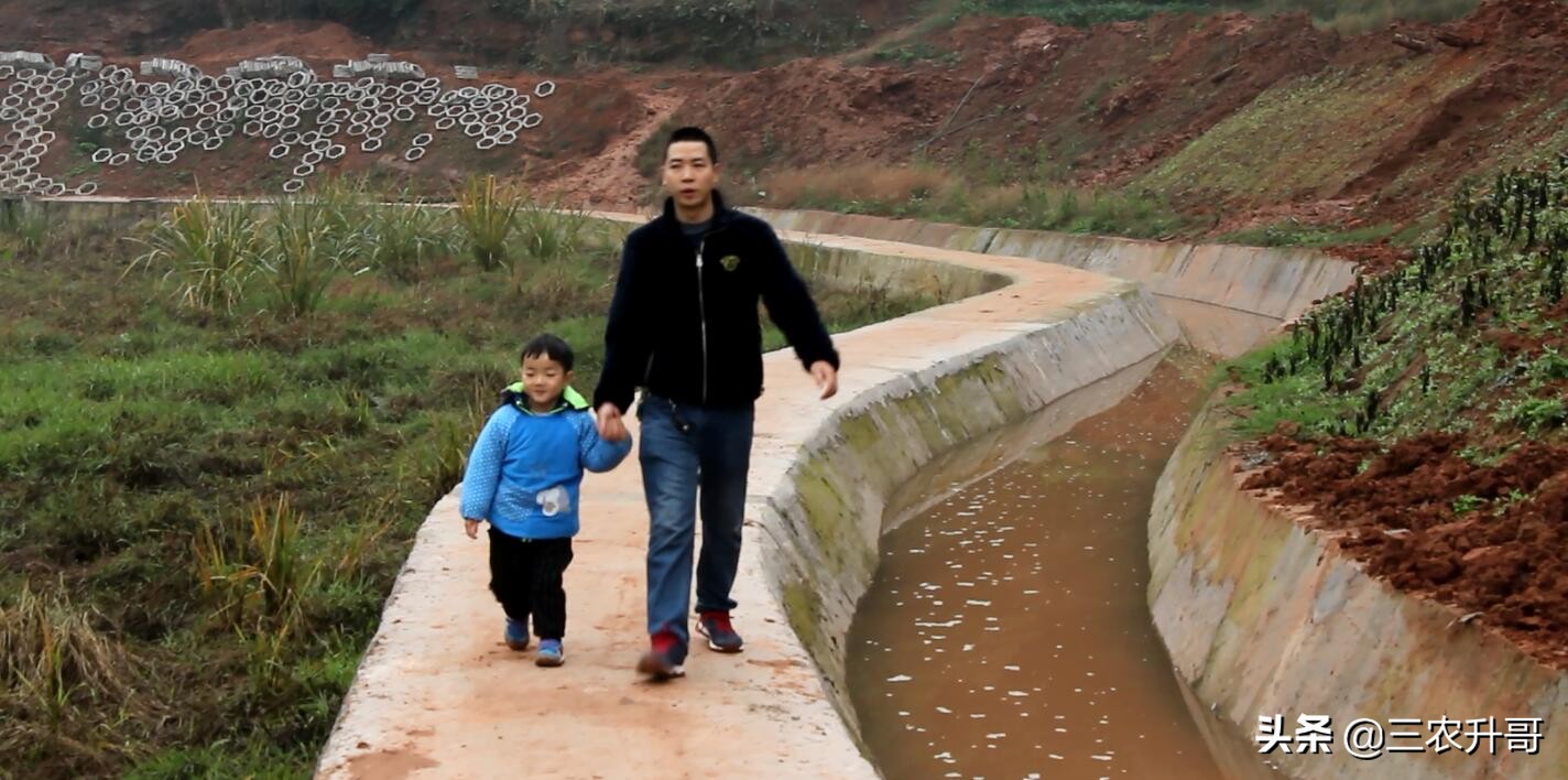 新农村建设田园风光小镇,农业种植养殖观光旅游休闲的方案