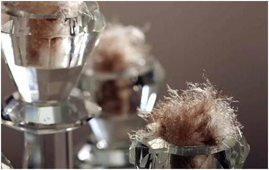 淘宝平价羽绒服怎么选择,在淘宝怎么选真的羽绒服