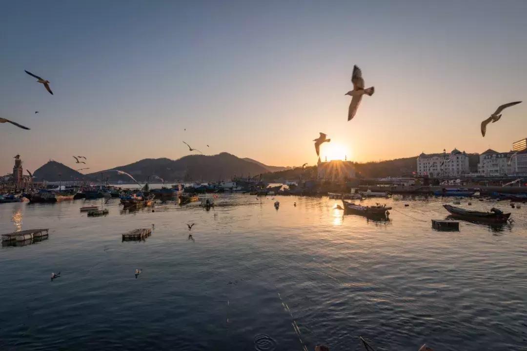 这个夏日25°C的宝藏城市美炸了！海岛、万国建筑、叮叮车..想去