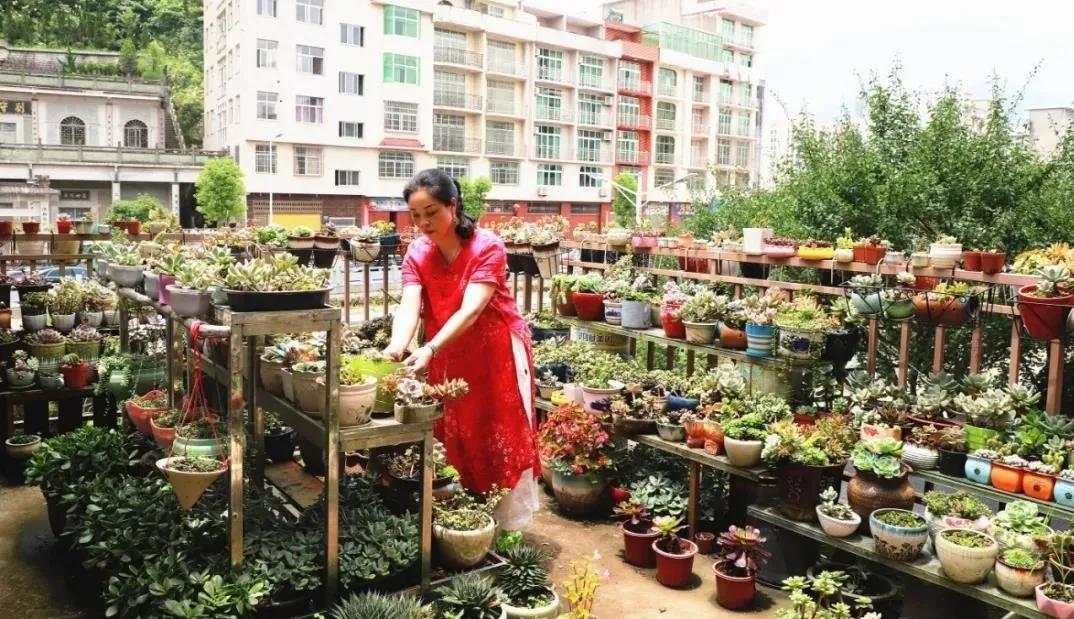 宁德市区哪里有便宜的民宿,宁德拎包入住民宿