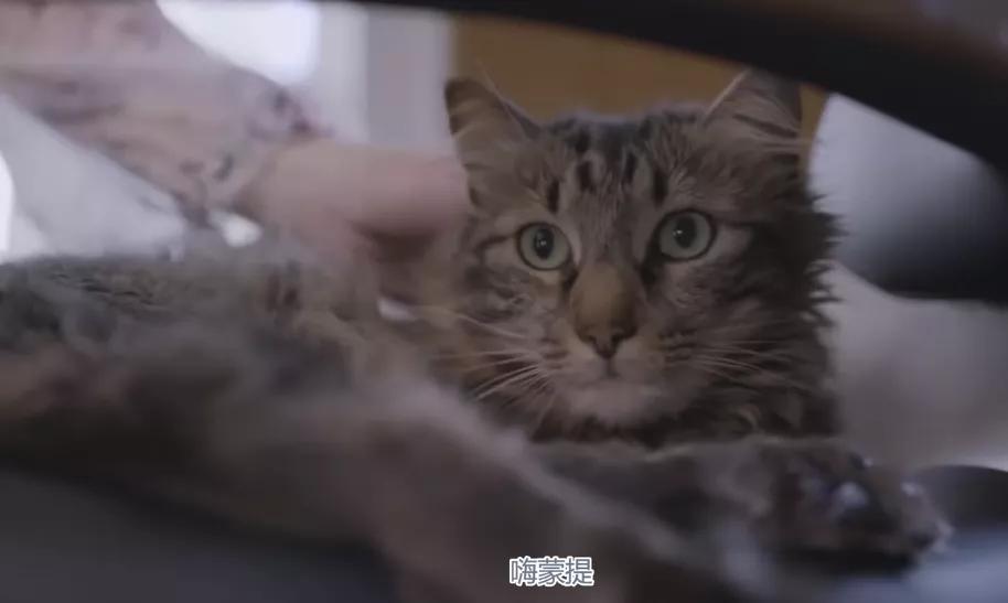 钢铁侠富豪片段,钢铁侠豪宅视频大全