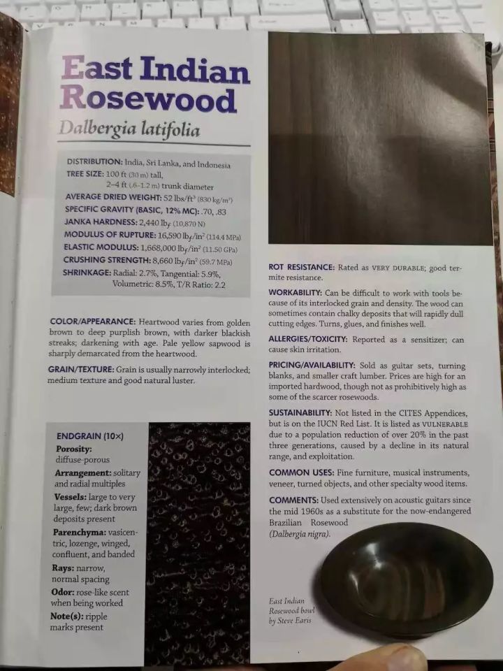 弦墨大讲堂巴玫是一种信仰