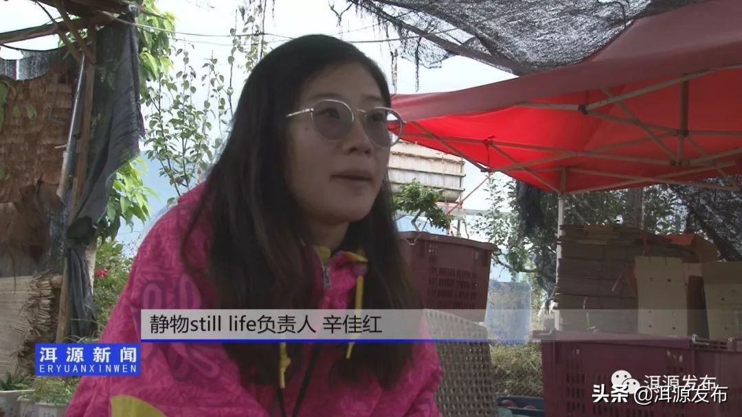 农特产品电商市场情况,农特产品电商运营