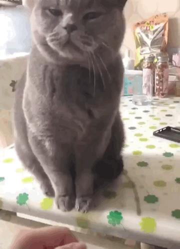 亲身经历过哪些坑,亲身经历致命骗局