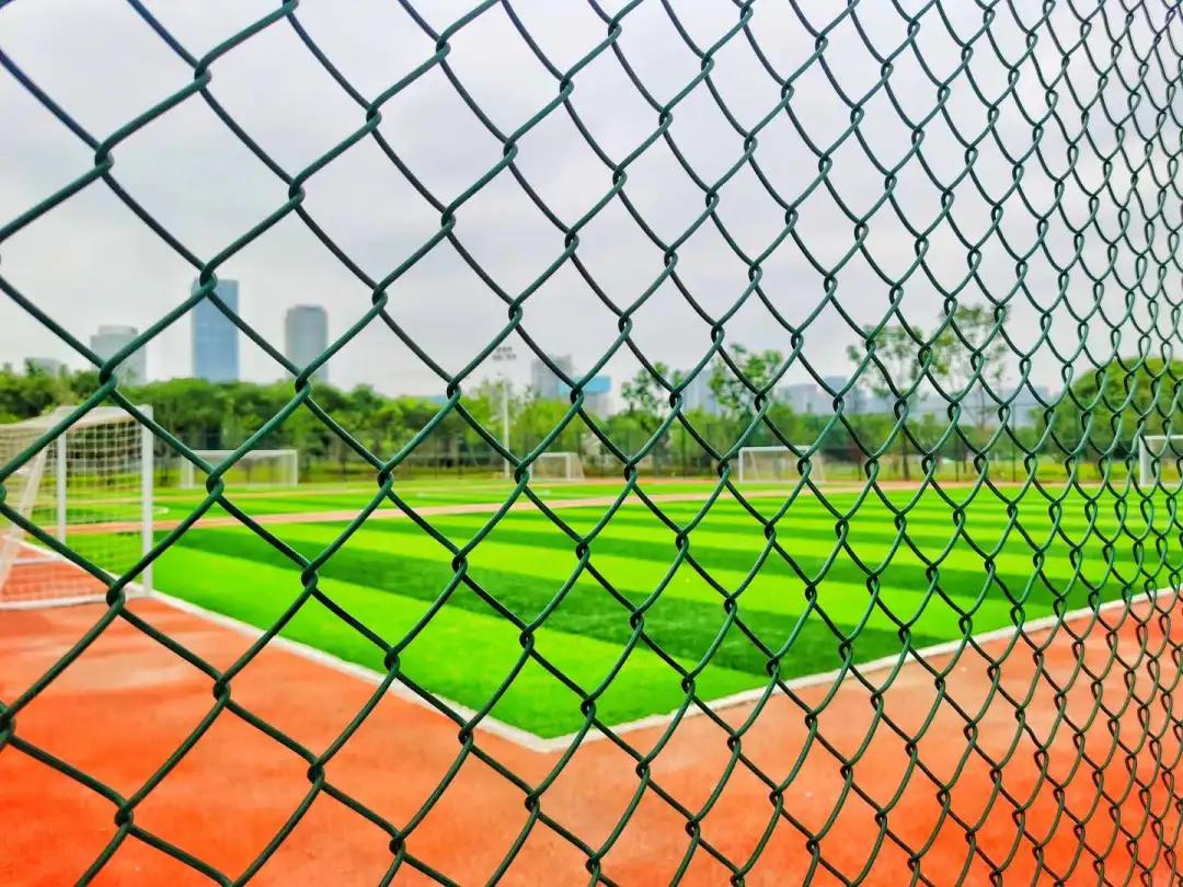 无锡东亭体育公园直播视频,无锡智慧体育公园