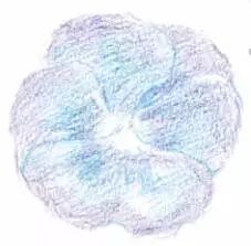 彩铅画云堇教程,三色堇彩铅画图片