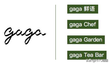 gaga鲜语商业模式,gaga鲜语的工作餐怎么样