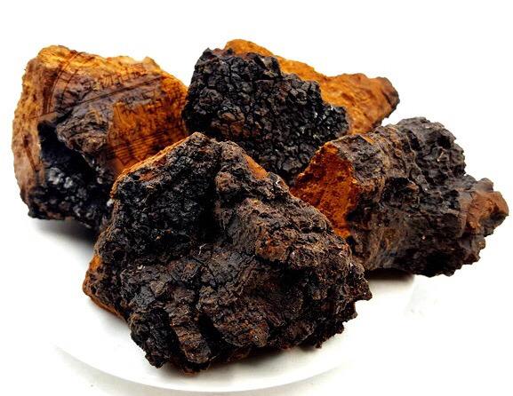 桦树茸神奇宝贝,cctv7神奇的蜂王浆