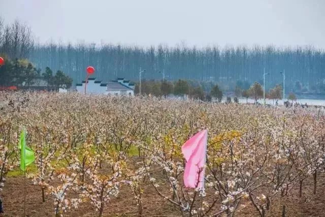 娆洪湝璧涢洩,娆洪洩璧涢湝