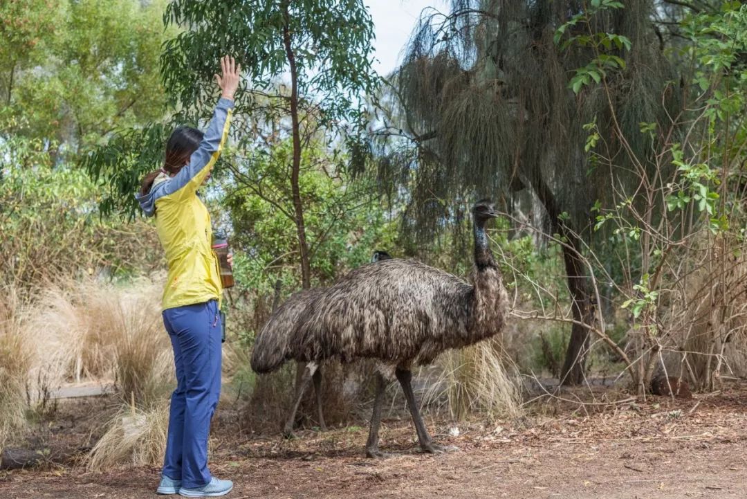 澳大利亚独特的自然风光,澳大利亚黄金海岸的美景