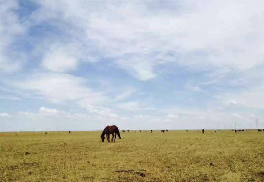 英语单词词根思维导图,学习英语单词常见词根