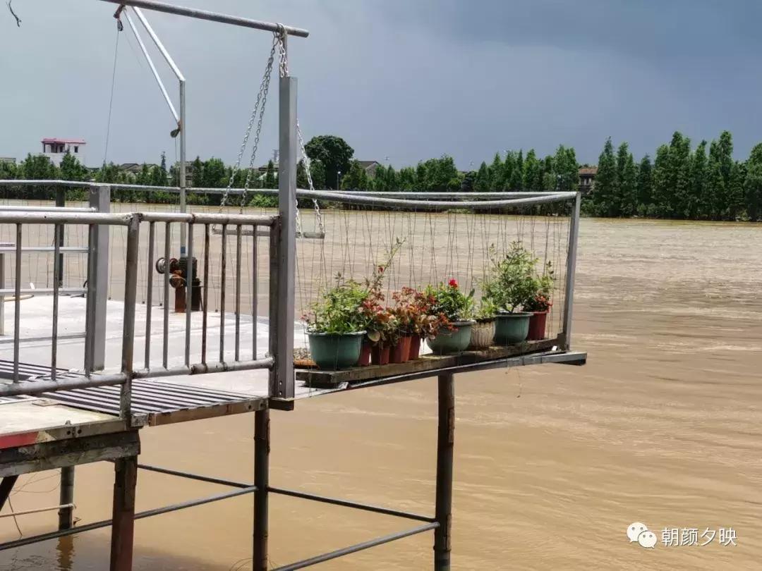 新会石板沙最好的地方,江门石板沙村旅游介绍