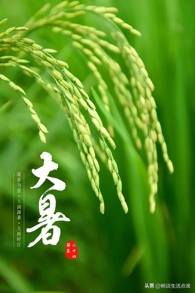 大暑的谚语对应的习俗,大暑将至节气俗语