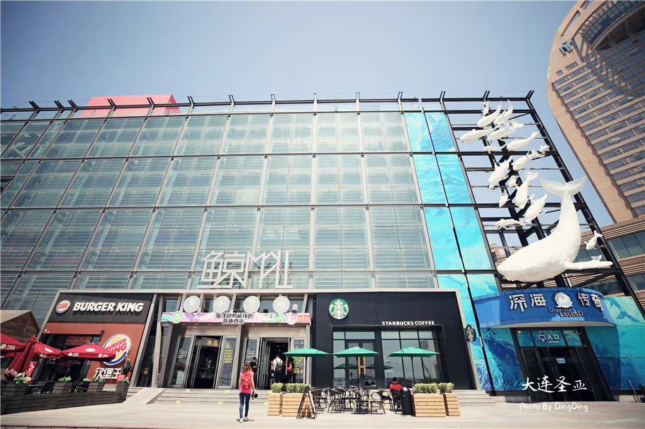 北方明珠活力四射的浪漫之都大连，国内最具特色的海洋世界圣亚