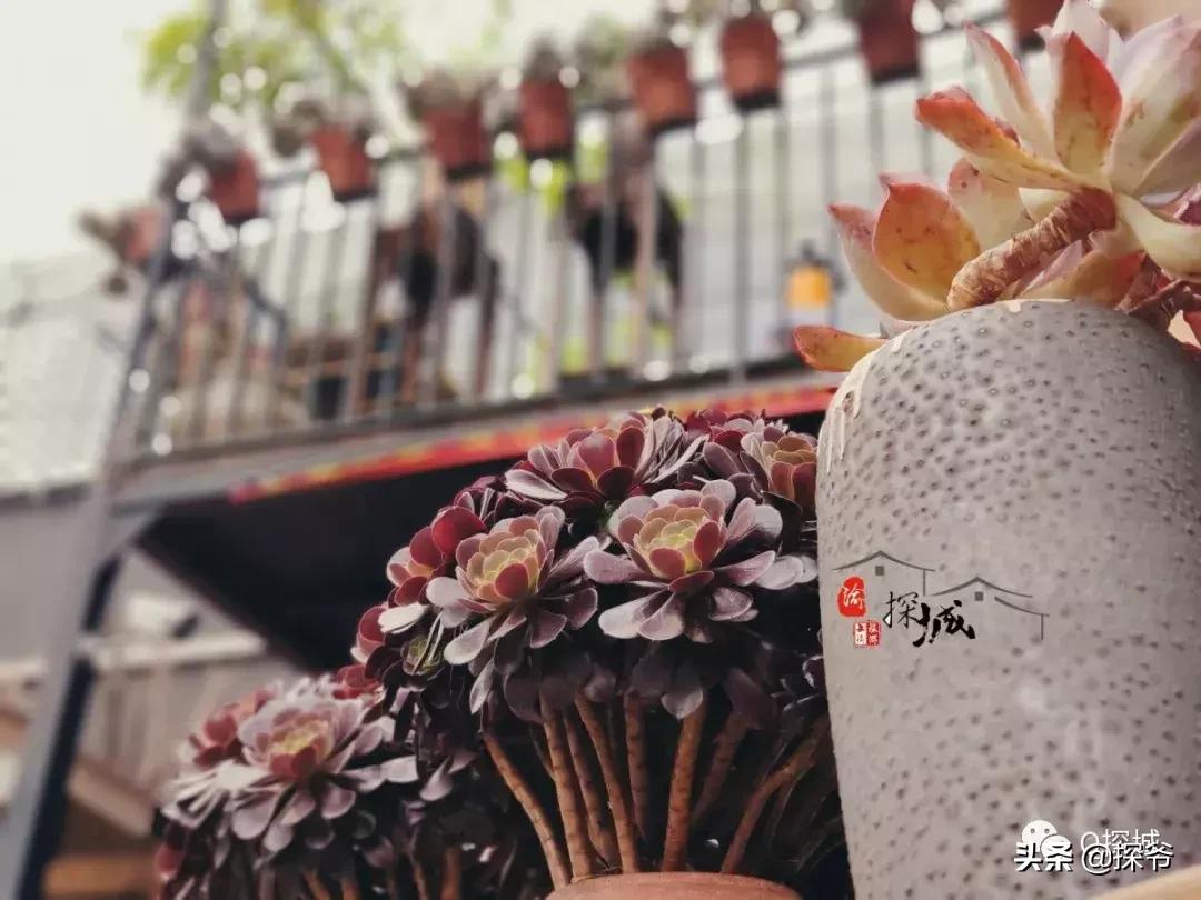 适合遛娃的地方重庆绿色星球,重庆150米神秘花园