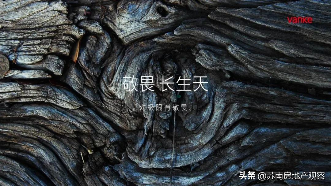 万科能不能入手,万科热销